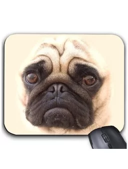 Pug dog mouse pad