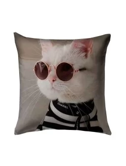 Cojin gato con lentes - Almohada decorativa gatos