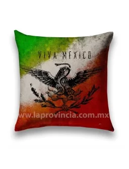 Viva México printed pillow