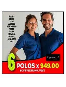 6 Playeras polo bordadas con tu logo